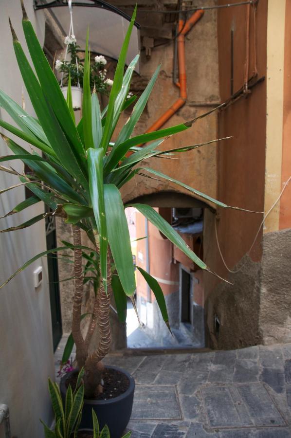 La Croce Dei Templari - Very Central With Parking - Hotel Riomaggiore Luaran gambar